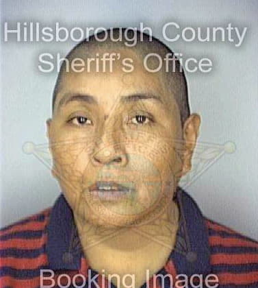 Arana Julio - Hillsborough County, FL 