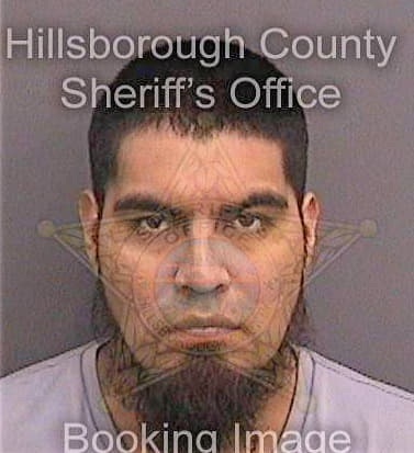 Joseantonio Juan - Hillsborough County, FL 