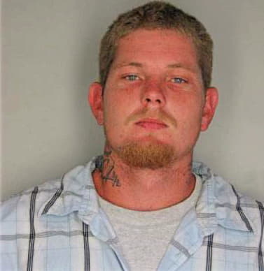 Lewis David - Hillsborough County, FL 