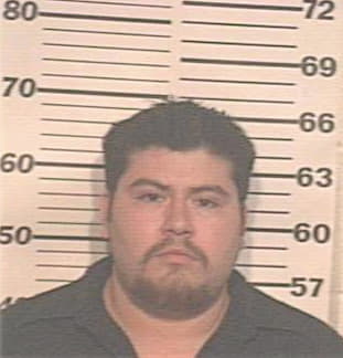 Delgado Alex - Hidalgo County, TX 