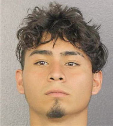 Alvarado-Pena Cristian - Broward County, FL 