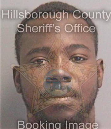 Lise Ashley - Hillsborough County, FL 