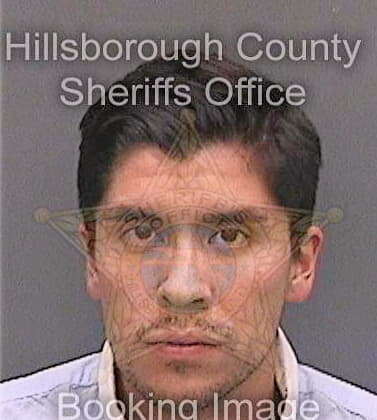 Lozano Carlos - Hillsborough County, FL 