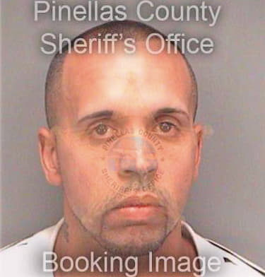 Santiago Daniel - Pinellas County, FL 
