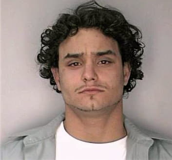 Romos Vidal - Hillsborough County, FL 