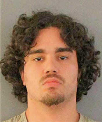 Picerno Anthony - Charlotte County, FL 