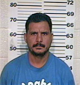 Camarillo Marco - Hidalgo County, TX 
