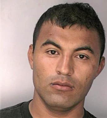 Galicia Raul - Hillsborough County, FL 