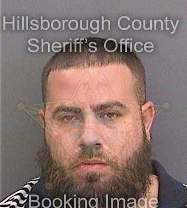 Cincunegui Alexander - Hillsborough County, FL 