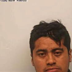 Pena Bernardo - Chatham County, GA 