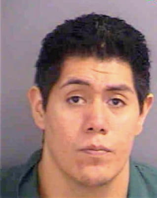 Hernandez Erick - Collier County, FL 