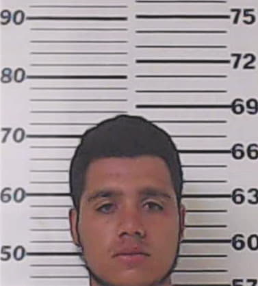 Pavon Humberto - Henderson County, TX 