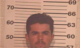 Alaniz Jose - Hidalgo County, TX 