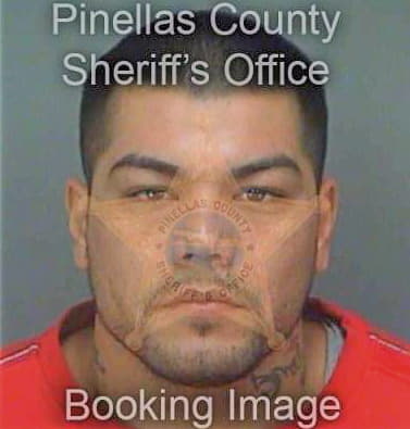 Hernandez Jose - Pinellas County, FL 