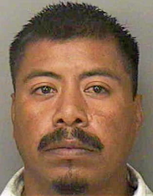 Perez Amadeo - Polk County, FL 
