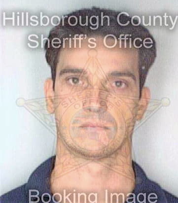 Passon Charles - Hillsborough County, FL 