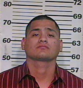 Garica Daniel - Hidalgo County, TX 