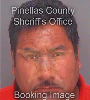 Hernandezlopez Juan - Pinellas County, FL 