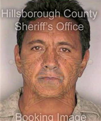 Roa Mario - Hillsborough County, FL 