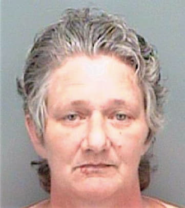Nelson Carol - Pinellas County, FL 