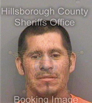 Hernandezmiranda Juan - Hillsborough County, FL 
