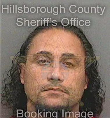 Dejesus Alfonso - Hillsborough County, FL 