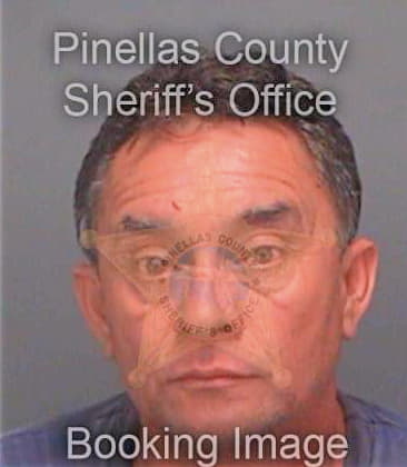 Bejar Jose - Pinellas County, FL 