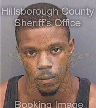 Williams Patrick - Hillsborough County, FL 