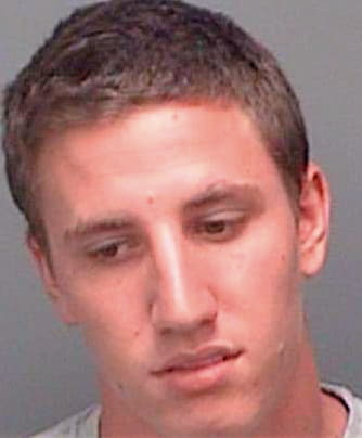 Deller Sean - Pinellas County, FL 