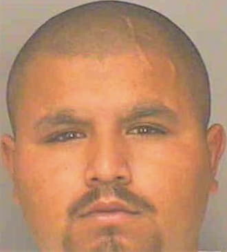 Benitez Arali - Polk County, FL 