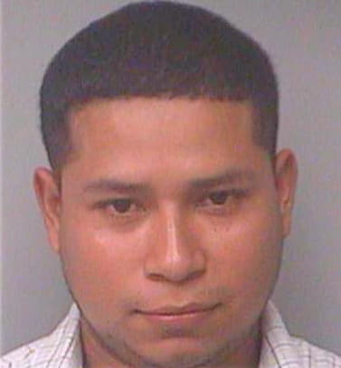 Bernardinonava Baltazar - Pinellas County, FL 