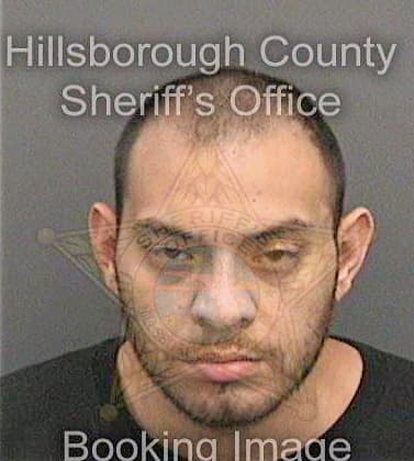 Deleon Daniel - Hillsborough County, FL 