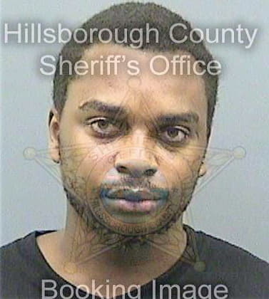 Henry Erving - Hillsborough County, FL 