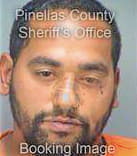 Ortiz Gabriel - Pinellas County, FL 