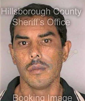 Diaznunez Luis - Hillsborough County, FL 