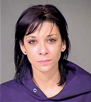 Cornell Brittany - Maricopa County, AZ 
