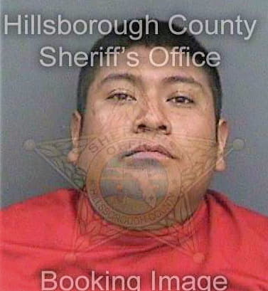 Lopezperez Claudio - Hillsborough County, FL 
