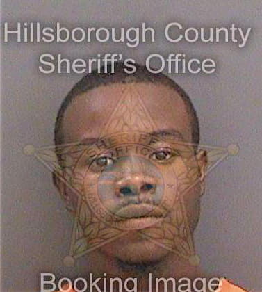 Oglesby George - Hillsborough County, FL 