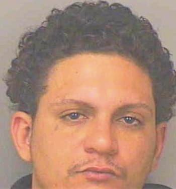 Morales Ivan - Polk County, FL 