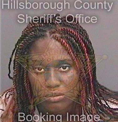 Pinckney Mesha - Hillsborough County, FL 