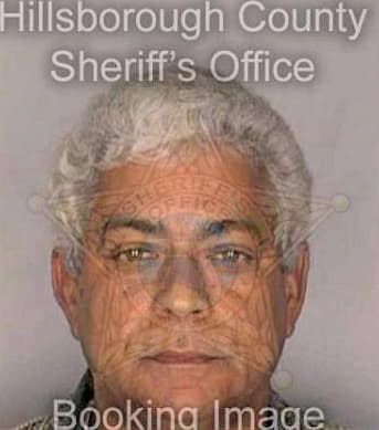Beltre Nelson - Hillsborough County, FL 