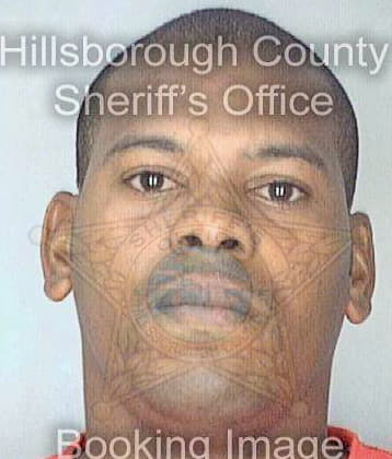 Johnson Rodney - Hillsborough County, FL 
