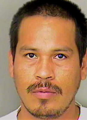 Delgado Bravilo - Polk County, FL 