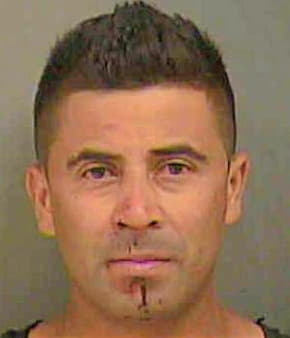 Pineda Jesus - Mecklenburg County, NC 