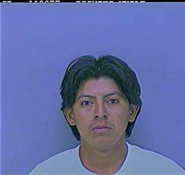 Hernandez Julio - Smith County, TX 