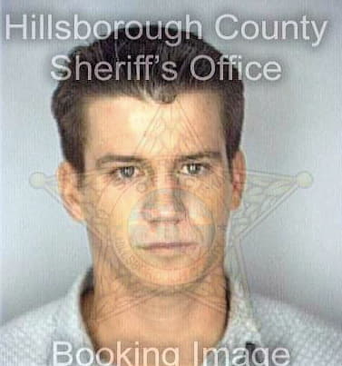 Fegan Louis - Hillsborough County, FL 