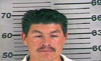 Mejia Mario - Dyer County, TN 
