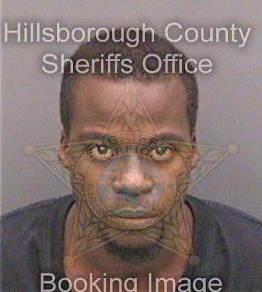 Exum Michael - Hillsborough County, FL 