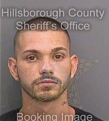 Lane Timothy - Hillsborough County, FL 