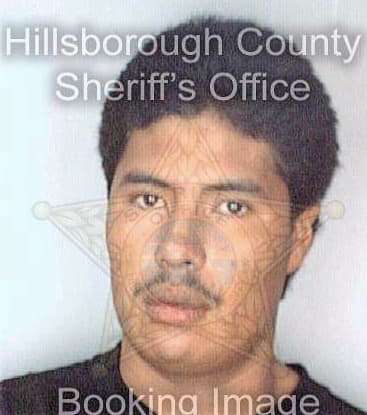 Rodrigueznorato Eliverio - Hillsborough County, FL 